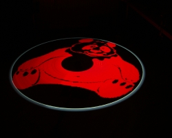 panda